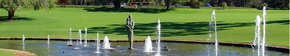 Kings Park Botanic Gardens - Tourism Adelaide 3