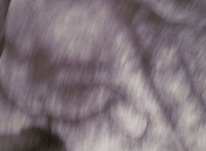 69 Smith Street - Tourism Adelaide 1