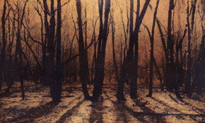 69 Smith Street - Tourism Adelaide 2