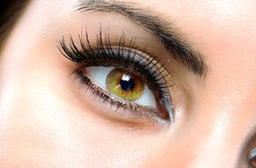 Beauty On Ryrie - Tourism Adelaide 1