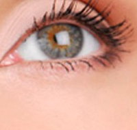 Cinnamon Stix Hair  Day Spa - Tourism Adelaide