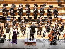 Clayton South VIC Tourism Adelaide