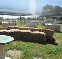 We Are Paintball - Tourism Adelaide