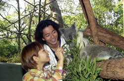 Taronga Zoo - Tourism Adelaide 2
