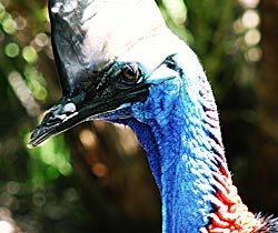 Dakabin QLD Tourism Adelaide