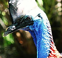 Alma Park Zoo - Tourism Adelaide