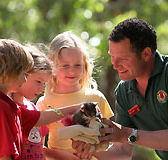 Cleland Wildlife Park