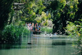 Cleland Wildlife Park - Tourism Adelaide 1
