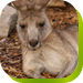  Tourism Adelaide