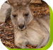 Calmsley Hill City Farm - Tourism Adelaide