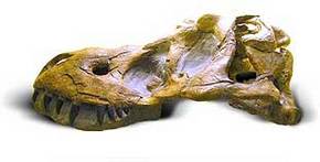 Australia Walkabout Wildlife Park - Tourism Adelaide 2