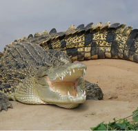 Dundee's Wildlife Park