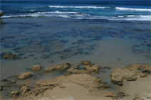 Canberra Contemporary Art Space - Tourism Adelaide