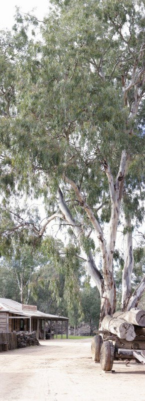 Pioneer Settlement - Tourism Adelaide 1