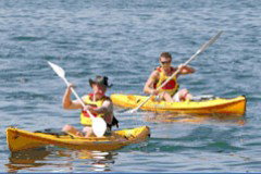 Manly Kayaks - Tourism Adelaide 0