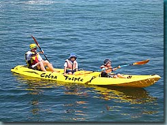Manly Kayaks - Tourism Adelaide 3