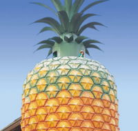 The Big Pineapple - Tourism Adelaide