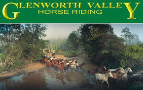 Glenworth Valley Horseriding - Tourism Adelaide 0