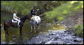 Glenworth Valley Horseriding - Tourism Adelaide 1