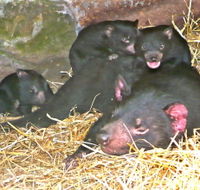 East Coast Natureworld - Tourism Adelaide