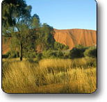 Uluru - Kata Tjuta National Park