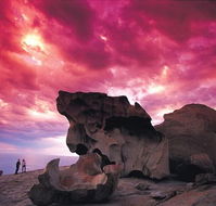 Kangaroo Island Adventure Tour 2 day/1 night - Tourism Adelaide