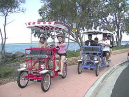 Book Hervey Bay QLD Attractions Tourism Adelaide Tourism Adelaide