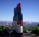 Mount Tamborine Winery  Homestead - Tourism Adelaide