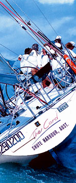 Koala Adventures - Tourism Adelaide 1