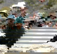 Tasmania Zoo - Tourism Adelaide