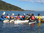 Sydney Harbour Kayaks - Tourism Adelaide 2