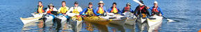 Sydney Harbour Kayaks - Tourism Adelaide 3