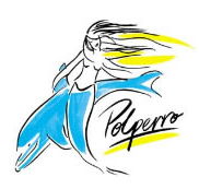 Polperro Dolphin Swims - Tourism Adelaide