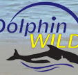 Dolphin Wild