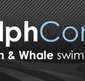 Dolphcom - Dolphin  Whale Swimming Adventures - Tourism Adelaide