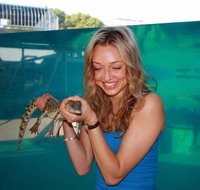 Crocosaurus Cove - Tourism Adelaide