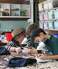 Australian National Botanic Gardens - Tourism Adelaide 2