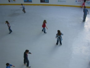 Liverpool Catholic Club Rink - Tourism Adelaide 3
