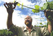 Tanunda SA Tourism Adelaide