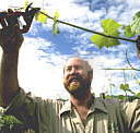 Barossa Experience Tours