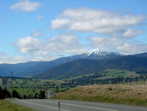 Buller View Wines - Tourism Adelaide 2