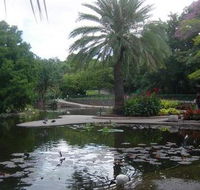 Brisbane City Botanic Gardens - Tourism Adelaide