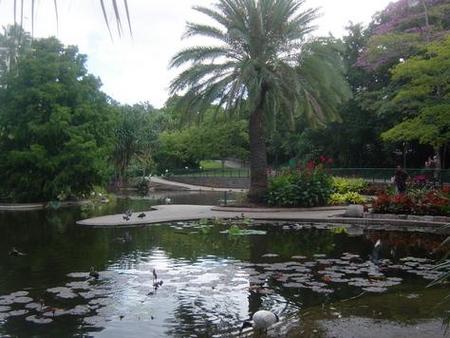 Brisbane City Botanic Gardens - Tourism Adelaide 0