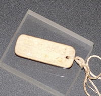 MacArthur Museum - Tourism Adelaide