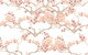 Zen Day Spa - thumb 3