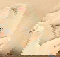 The Golden Door Spa  Health Club at Mirage Resort - Tourism Adelaide