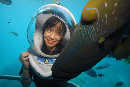 Sunlover Reef Cruises - Tourism Adelaide 0