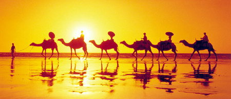 Banksia Adventures - Tourism Adelaide 1