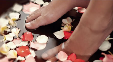 Universal Body - Tourism Adelaide 1