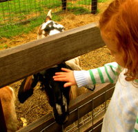 Collingwood Children's Farm - Tourism Adelaide